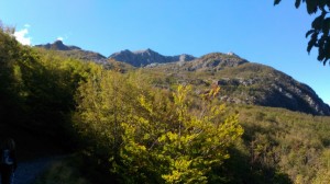 IMG-20161016-WA0001